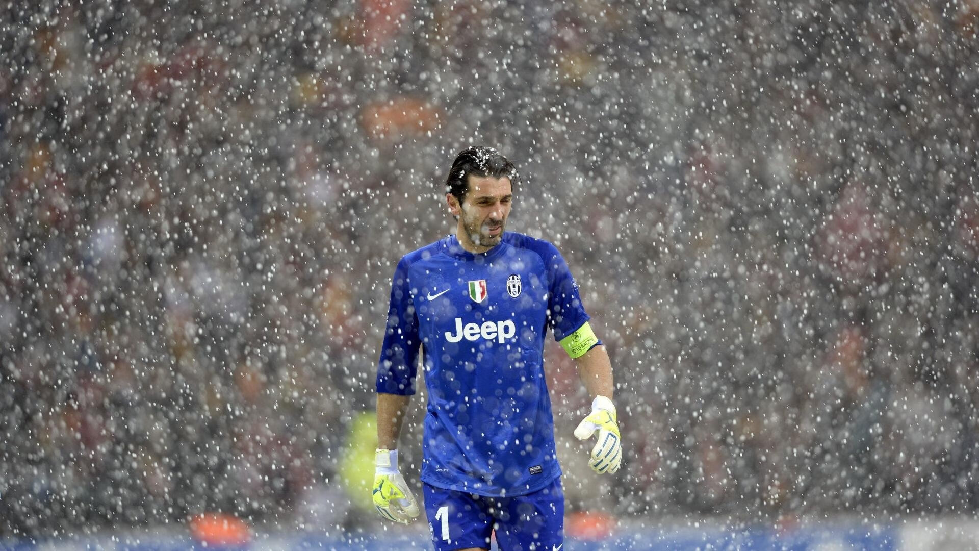 埃及赛制揭秘:如何平衡本土化与国际化