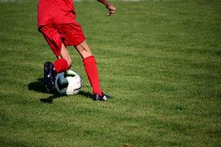 mk体育平台登录入口-中超球员年度技术评分标准体系，中超球员技术统计