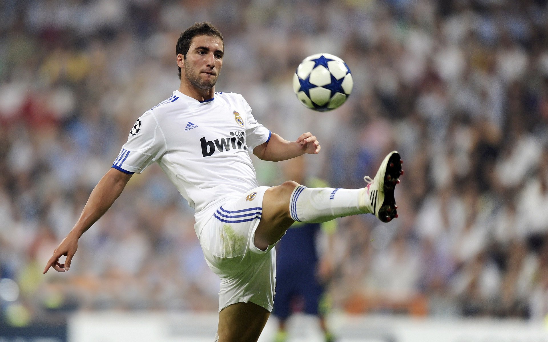 mk体育平台网页版入口-多特蒙德青年军再度成为焦点，多特蒙德青训人才